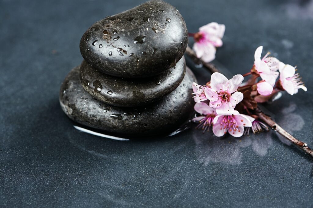 Closed view of hot stones and cherry blossoms, concept of health and wellness